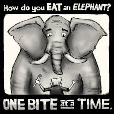 [Guest Blog Post] Horry County Schools and Eating the Elephant